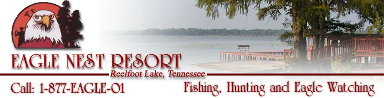 Eagle Nest Resort Reelfoot Lake Tennessee