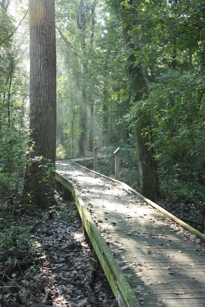 Hiking at Reelfoot Lake